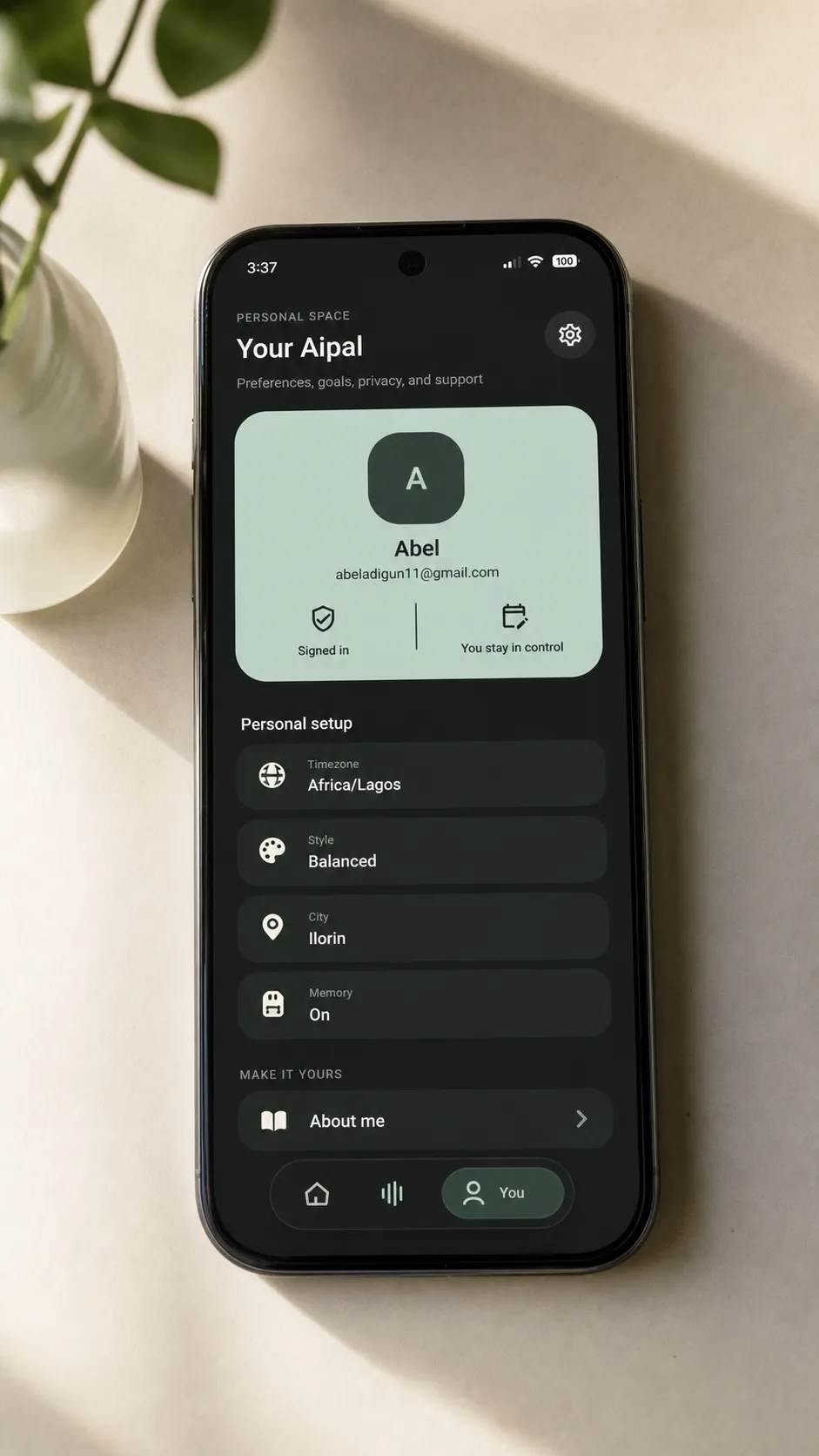 AiPal profile and settings
